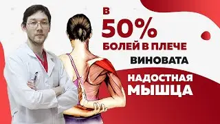 Надостная мышца. 50% болей в плече из за этого!