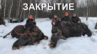 Охота НА ЛОСЯ. Добор подранка с собакой.