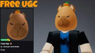 Free UGC Limited! How To Get Capy Egg In Egg Finders | Roblox | Free UGC