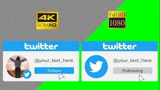 Сustom Twitter Follow button with logo and channel name green screen, transparent 4K, HD