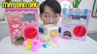 Máy Bán Gấu Tự Động - Rubik Công Tắc Kì Dị Và Review Bộ cờ Vua 4 Trong 1