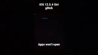 iOS 12.5.4 Siri glitch