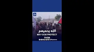 شاهد | تهجير الفلسطينيين في جنين #shortvideo