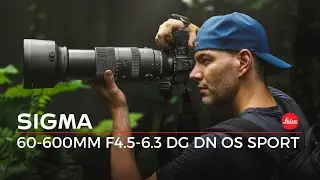 Sigma 60-600mm f4.5-6.3 DG DN OS Sport Review: This is FANTASTIC!