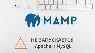 Локальный сервер MAMP.  Не запускается сервер Apache и MySQL