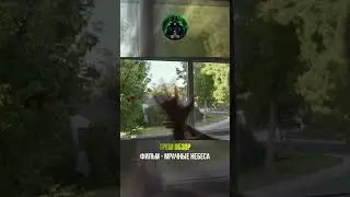СТАЯ ПТИЦ ВРЕЗАЛАСЬ В ОКНО.  #кино  #фильм #врек #врекомендации