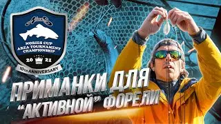 Начало турнира Nories Cup Area Tournament Championship 2021. Новый КОНКУРС!