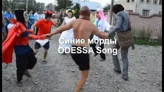 Синие морды - Odessa - Song