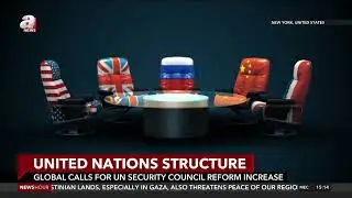 Growing Global Calls for UN Security Council Reform | Urgent Push for Change