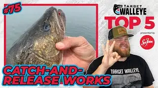 Target Walleye's Top 5 of the Week! 🔥 (Ep 75)