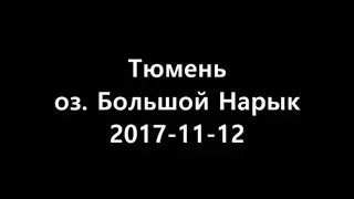 Тюмень - оз Большой Нарык (зима) 2017-11-12