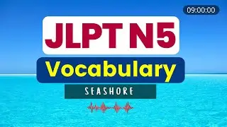 JLPT N5 Vocabulary (Complete)