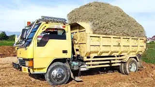 Truk Jomplang, Mobil Truk, Dump Truk Bongkar Muatan Tanah Timbunan Full Bak