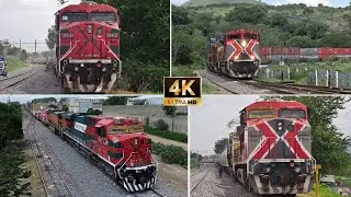 Trains in Guadalajara! The green city