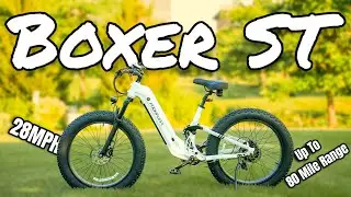 Electric Bike Basics Done Right // Puckipuppy Boxer ST Review