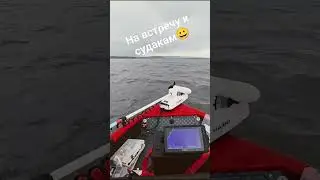 На встречу к судакам. 