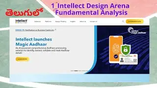 Telugu||Part 1- Intellect Design Arena Fundamental analysis