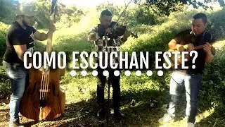 Como escuchan este corrido? Para los Potrillos De Turicato