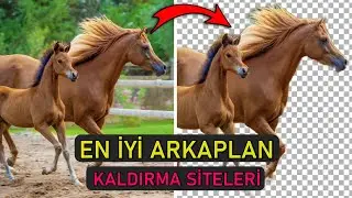 En İyi ARKA PLAN KALDIRMA Siteleri 👈👈