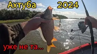 Ахтуба 2024