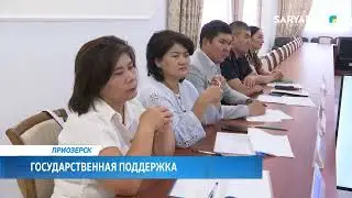 Государственная поддержка