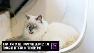 How to Stick Text to Moving Objects: Text Tracking Tutorial in Premiere Pro