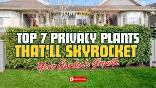 Top 7 Privacy Plants That'll Skyrocket Your Garden's Growth 🌲🏡🌸