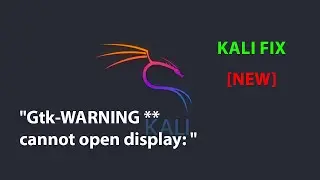 KALI  FIX: Gtk-WARNING ** cannot open display:  [NEW!!]