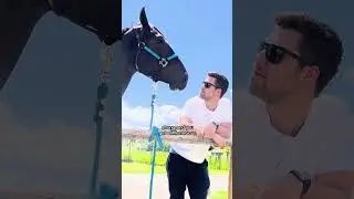 Horse Falls In Love With His Moms Boyfriend | The Dodo