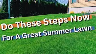 SPRING LAWN TIPS FOR PERFECT SUMMER GRASS!! prepare for the that summer stress NOW!!