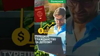 Турецкое гражданство за банковский депозит. Быстро и надежно#shorts #турецкоегражданство #турция2024