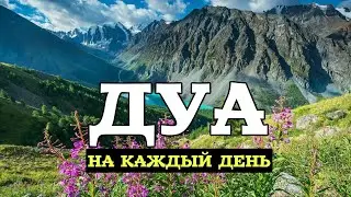 🎧❤🤲ДУА ДЛЯ ИСПОЛНЕНИЯ ЖЕЛАНИЙ СЛУШАЙТЕ КОРАН !! КАЖДЫЙ ДЕНЬ.