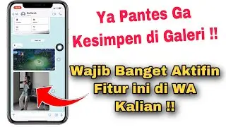 Kenapa Foto Yang Dikirim Lewat WhatsApp Tidak Ada Di Galeri iPhone