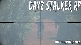 DAYZ STALKER RP (Last Hope) | ПАРОЧКА ИНТЕРЕСНЫХ МОМЕНТОВ ИЗ ЖИЗНИ СТАЛКЕРА)