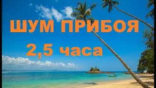 ЗВУКИ МОРЯ; 2,5 часа Видео | Тропический пляж, голубое небо, белый песок и пальма | Полный РЕЛАКС
