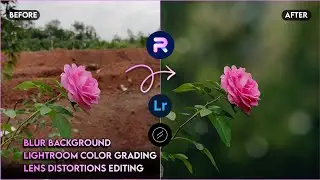 Blur Image Background | Mobile Photo Editing Tutorial | Lightroom Color Grading | PhotoRoom Editing