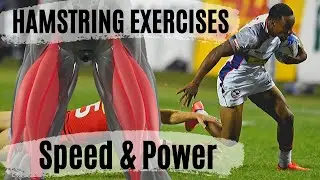 Hamstring Exercises for SPEED & POWER