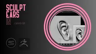 Sculpt Your First Ear in ZBrush -  A Step-by-Step Tutorial for Beginners