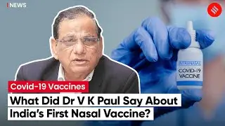 “India Has Set An Example By Developing High-Potential Nasal Vaccine”: V K Paul