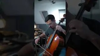 I ALMOST regret buying a cello