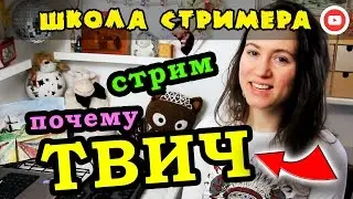 ПОЧЕМУ МЫ РЕШИЛИ СТРИМИТЬ НА ТВИЧЕ ☄ Школа Стримера