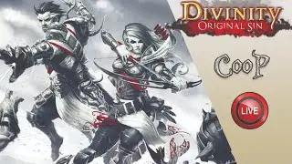 Divinity: Original Sin прохождение ► Король Бракк, #17