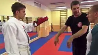 Диверсионный удар. Saboteur punch. Punch. Saboteur.