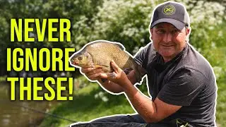 CATCH MORE FISH WHEN FEEDER FISHING! Carp or Bream? | Method or Cage? | Long or Short?