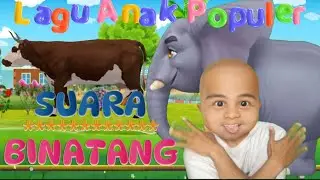 Lagu SUARA BINATANG populer untuk anak - KBeeb original #suarabinatang #laguanak