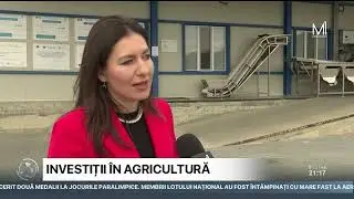 A fost lansată prima linie de sortare și ambalare a prunelor