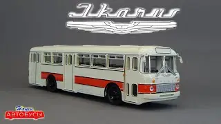 Икарус-556 Наши Автобусы Modimio | Обзор масштабной модели 