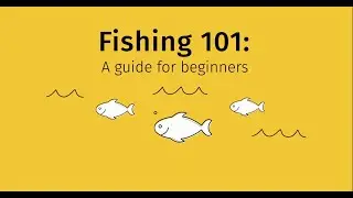 Fishing 101: A guide for beginners