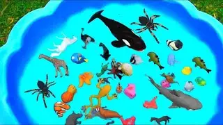 Learn Zoo Wild Animals Names Educational Toys Video For Children - animal video for kids #10