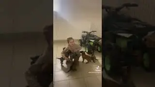 Малинуа щенки и человеческий детеныш )